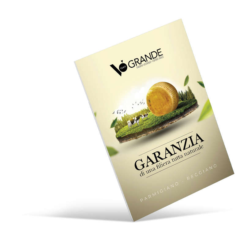 book_garanzia.png